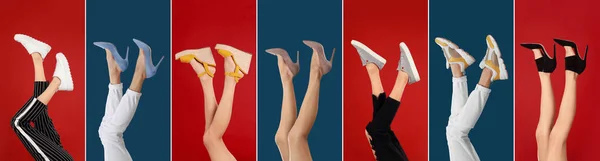 Collage of women wearing different stylish shoes on color backgrounds, closeup — ストック写真