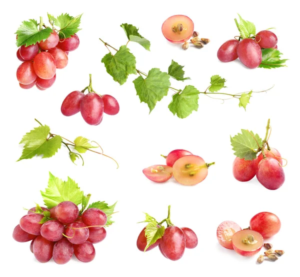 Set of fresh ripe grapes and leaves on\ white background — Stok Foto
