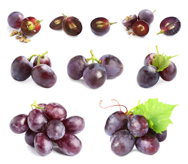 Ensemble de raisins frais mûrs sur fond blanc — Photo