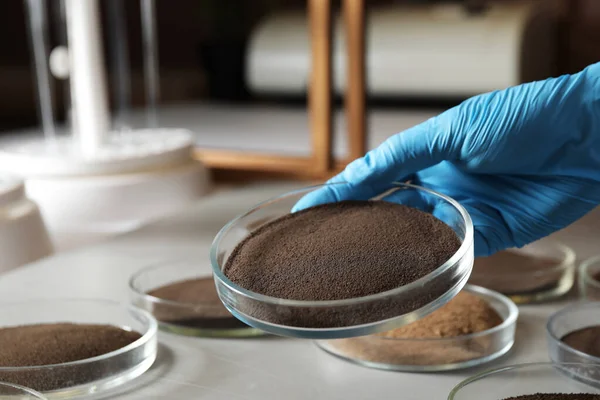A nő Petri-csészét tart talajmintával az asztalon, közelről. Laboratóriumi kutatás — Stock Fotó
