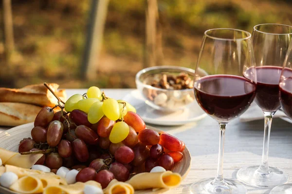 Vino rosso e snack serviti per il picnic su un tavolo di legno bianco all'aperto — Foto Stock