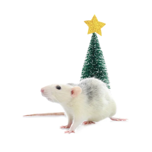 Rato pequeno bonito perto de árvore de Natal decorativa no fundo branco. Símbolo do Ano Novo Chinês — Fotografia de Stock
