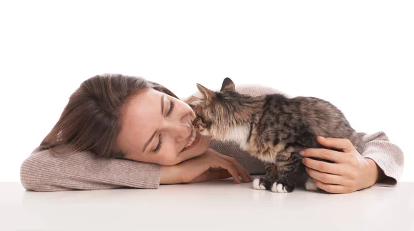 Young woman with cat on white background. Owner and pet — Stock Photo, Image