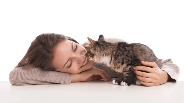 Wanita muda dengan kucing di latar belakang putih. Pemilik dan hewan peliharaan — Stok Foto