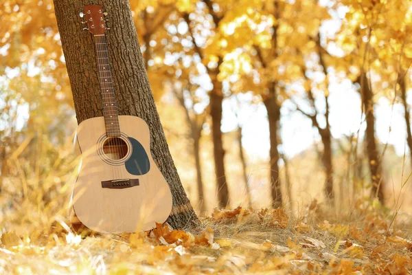 Nowoczesna gitara akustyczna w parku w słoneczny dzień — Zdjęcie stockowe