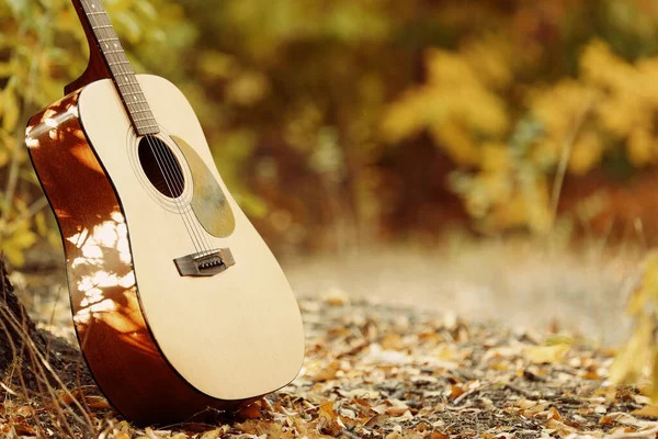 Nowoczesna gitara akustyczna w parku w słoneczny dzień — Zdjęcie stockowe