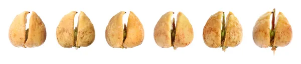Processo de crescimento do abacate sobre fundo branco — Fotografia de Stock