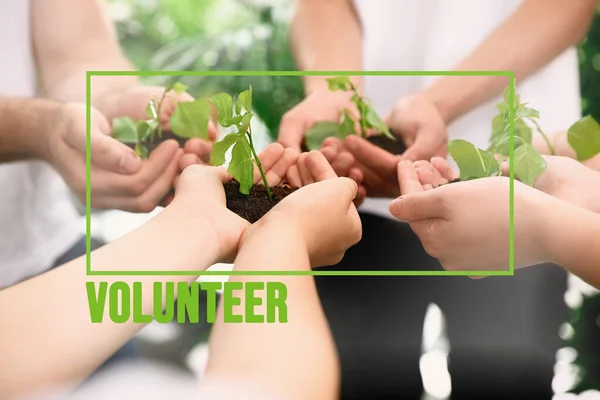 Group of volunteers holding soil with sprouts in hands outdoors, closeup — Stock Photo, Image
