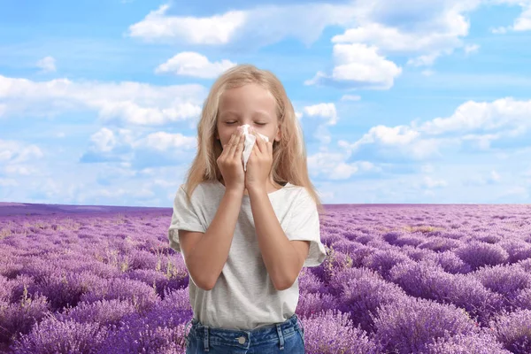 Bambina che soffre di allergia e fioritura campo di lavanda su sfondo — Foto Stock