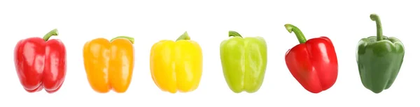 Conjunto de pimentas frescas maduras no fundo branco — Fotografia de Stock