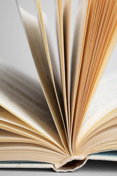 Closeup view of open book on light background