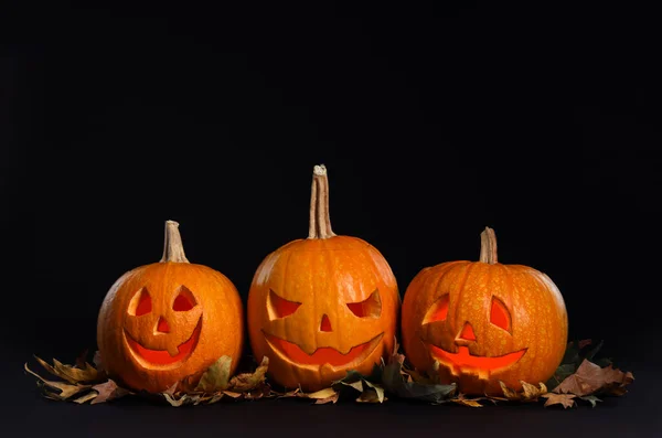 Cabeças de abóbora com folhas de outono no fundo preto. Lanterna de Jack - decoração de Halloween tradicional — Fotografia de Stock
