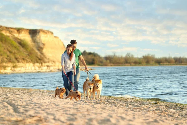 Młoda para spaceru ich urocze psy w pobliżu rzeki — Zdjęcie stockowe