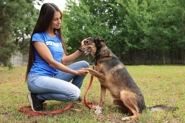 Mujer voluntaria con perro sin hogar en refugio de animales al aire libre — Foto de Stock