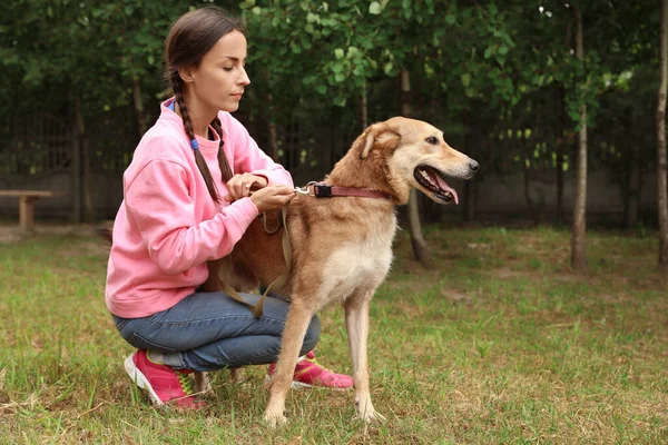 Female volunteer with homeless dog at animal shelter outdoors