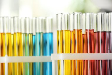 Bulanık arkaplanda renk sıvıları olan test tüpleri, yakın görünüm