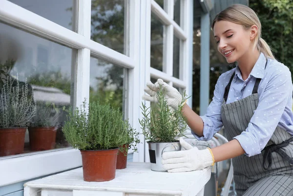 Young woman taking care of home plants at white wooden table outdoors — Stock Photo, Image
