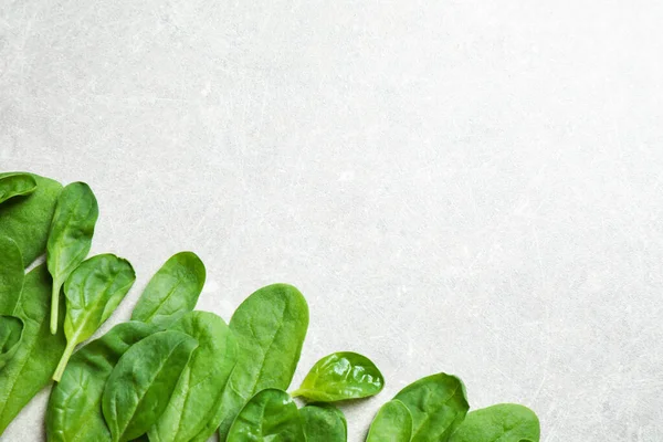 Свіжий зелений здоровий шпинат на легкому столі, плоский. Простір для тексту — стокове фото