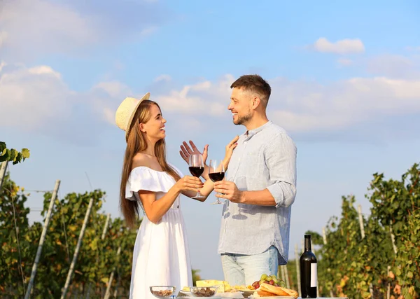 Casal feliz segurando copos de vinho na vinha — Fotografia de Stock