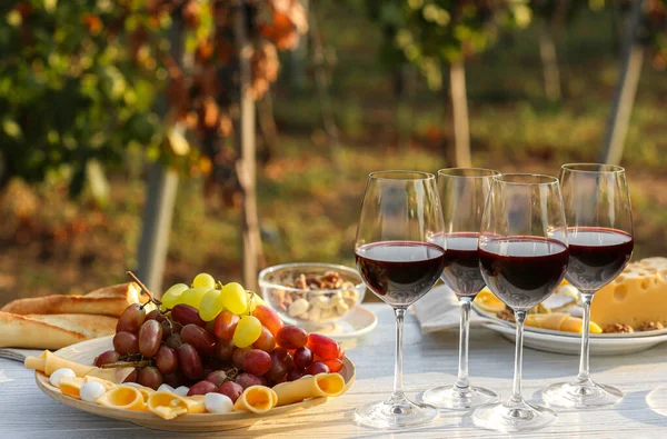 Червоне вино і закуски подаються для пікніка на білому дерев'яному столі на відкритому повітрі — стокове фото