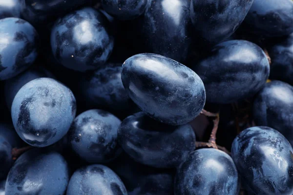 Raisins frais juteux mûrs comme fond, gros plan — Photo