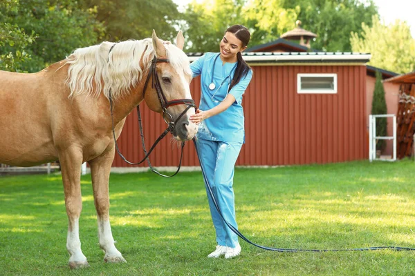 Jeune vétérinaire avec cheval palomino à l'extérieur le jour ensoleillé — Photo