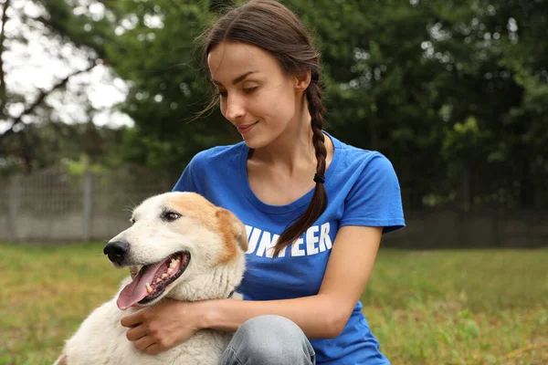 Hayvan barınağında evsiz köpekle birlikte gönüllü bir kadın. — Stok fotoğraf
