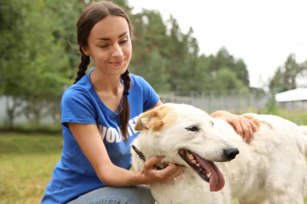 屋外の動物保護施設でホームレスの犬と女性ボランティア — ストック写真