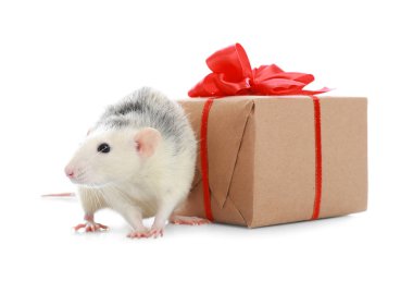 Beyaz arka planda şirin bir fare ve hediye kutusu. Çin Yeni Yıl sembolü