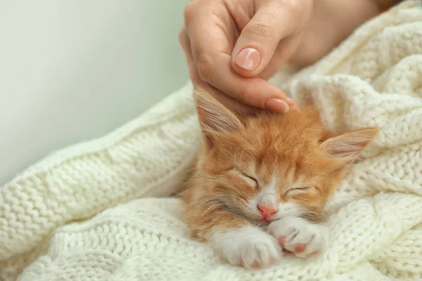 Donna che accarezza il piccolo gattino addormentato sulla coperta a maglia bianca, vista da vicino — Foto Stock