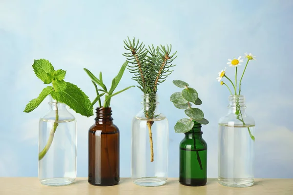 Glass bottles of different essential oils with plants on table — Stock Photo, Image