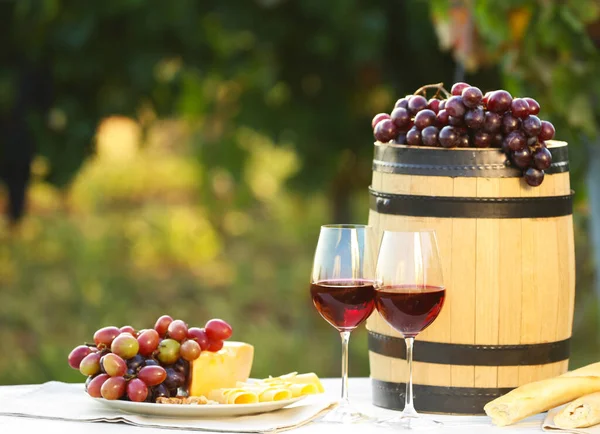 Composizione con vino e snack su tavolo di legno bianco in vigna — Foto Stock