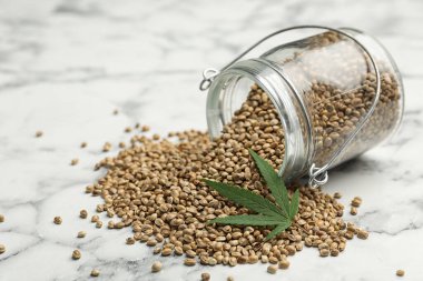 Organik kenevir tohumu ve yaprak mermer masada.