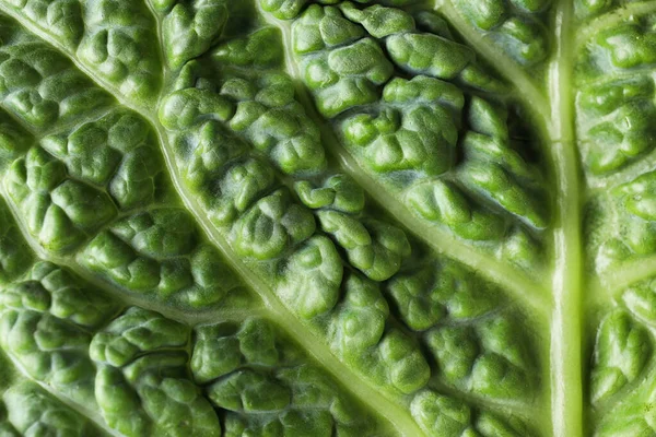 Green leaf of fresh savoy cabbage as background, closeup — Stock Photo, Image