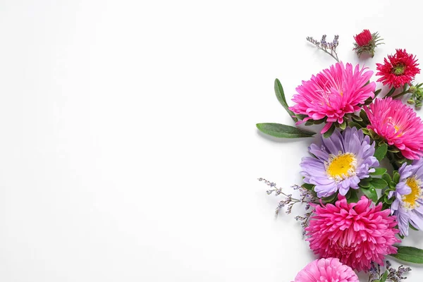 Composizione con bellissimi fiori di astro su sfondo bianco, vista dall'alto — Foto Stock