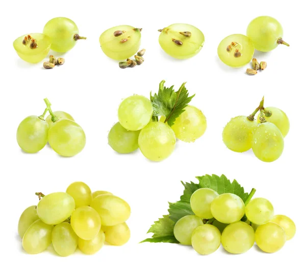 Zestaw świeżych dojrzałych winogron na białym tle — Zdjęcie stockowe