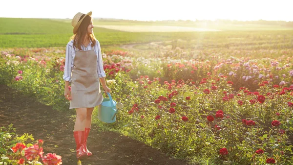 Wanita dengan air bisa berjalan di dekat semak mawar di luar ruangan. Alat berkebun — Stok Foto
