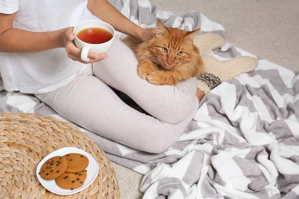 自宅で毛布にかわいい赤猫とお茶のカップを持つ女性、クローズアップビュー — ストック写真