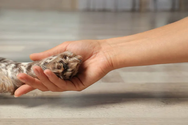 Vrouw het houden van de hond paw binnenshuis, close-up weergeven — Stockfoto