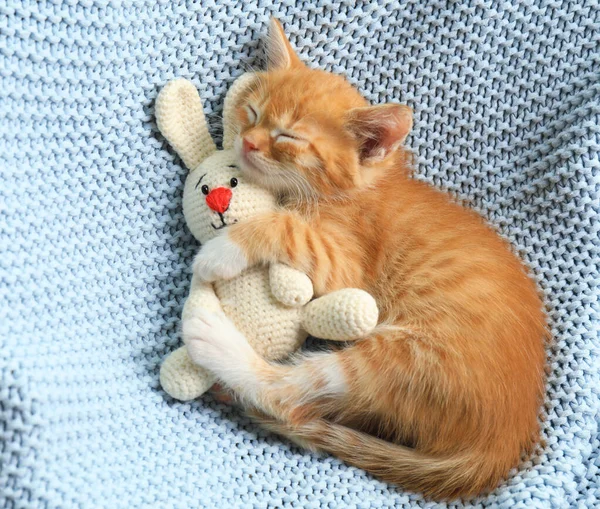 Κοιμισμένος χαριτωμένο μικρό γατάκι με το παιχνίδι σε ανοιχτό μπλε κουβέρτα — Φωτογραφία Αρχείου