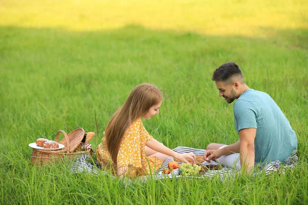 Boldog fiatal pár piknik zöld fű a parkban — Stock Fotó