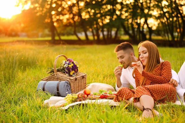 Boldog fiatal pár miután piknik, zöld parkban — Stock Fotó