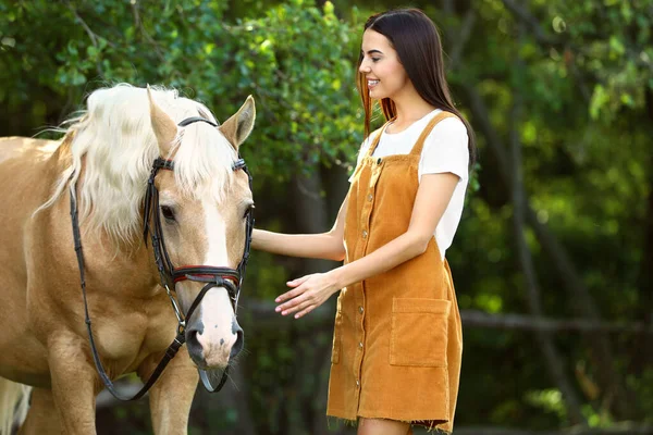 屋外のブライドルと若い女性のパロミノ馬 — ストック写真