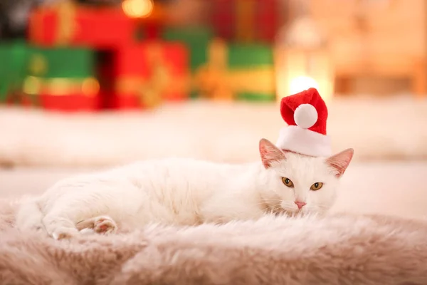 Roztomilá bílá kočka v klobouku Santa na chlupatém koberci v pokoji zdobeném na Vánoce. Rozkošný mazlíček — Stock fotografie