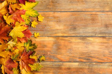 Ahşap zemin üzerinde sonbahar yaprakları olan düz bir kompozisyon. Metin için boşluk