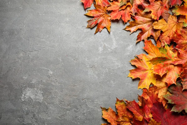 Flat lay composition with autumn leaves on grey stone background. Space for text — Stockfoto