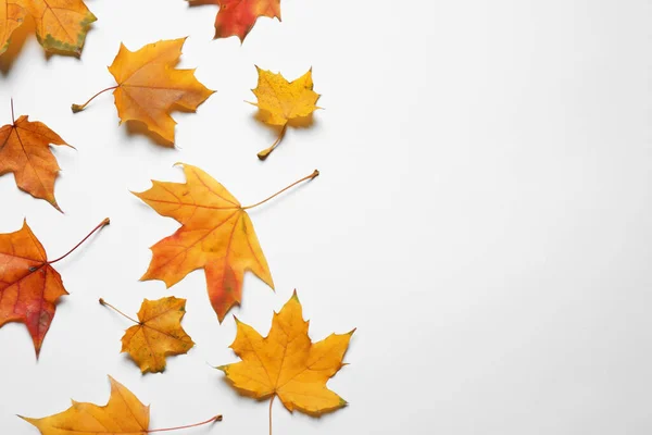 Flache Lagekomposition mit Herbstblättern auf weißem Hintergrund. Raum für Text — Stockfoto