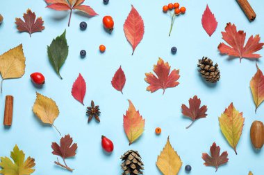 Açık mavi zemin üzerinde sonbahar yaprakları ile güzel kompozisyon, düz yatıyordu