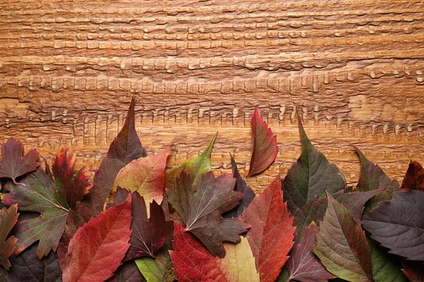 Ahşap zemin üzerinde sonbahar yaprakları olan düz bir kompozisyon. Metin için boşluk — Stok fotoğraf