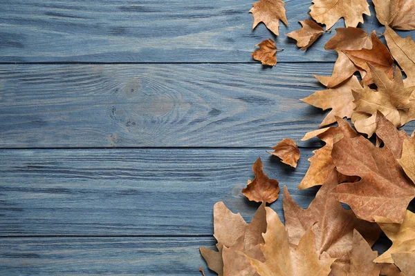 Flat lay composition with autumn leaves on blue wooden background. Space for text — Stockfoto